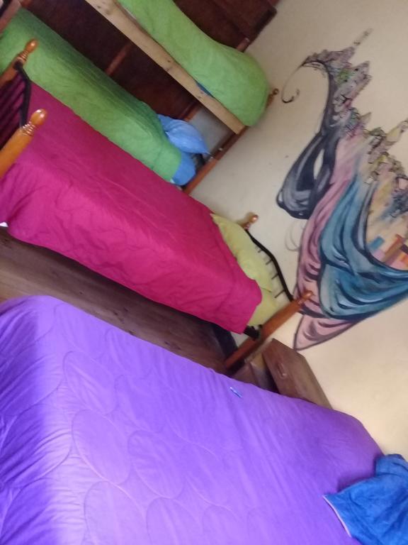Hostal Polanco Cerro Alegre فالبارايسو الغرفة الصورة